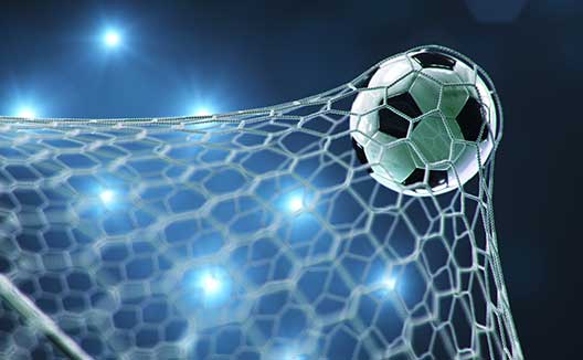 soccer ball in net